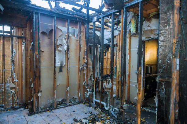 Professional Smoke Damage Removal technician working in Dublin, TX